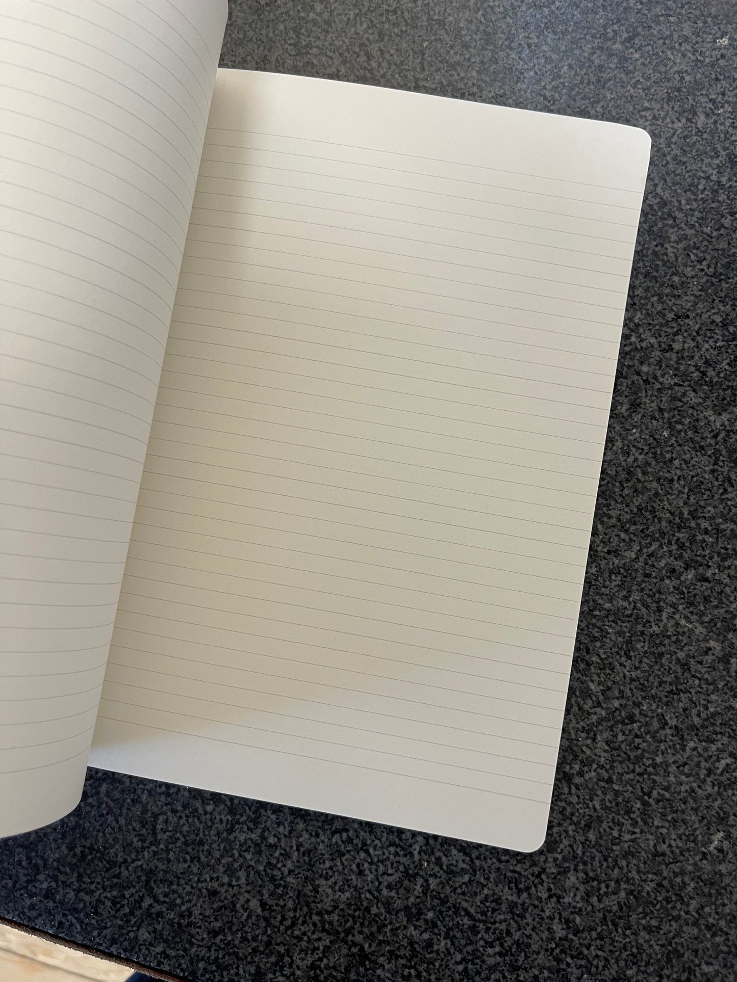 Sadie - Notebook by Shannon Lawlor